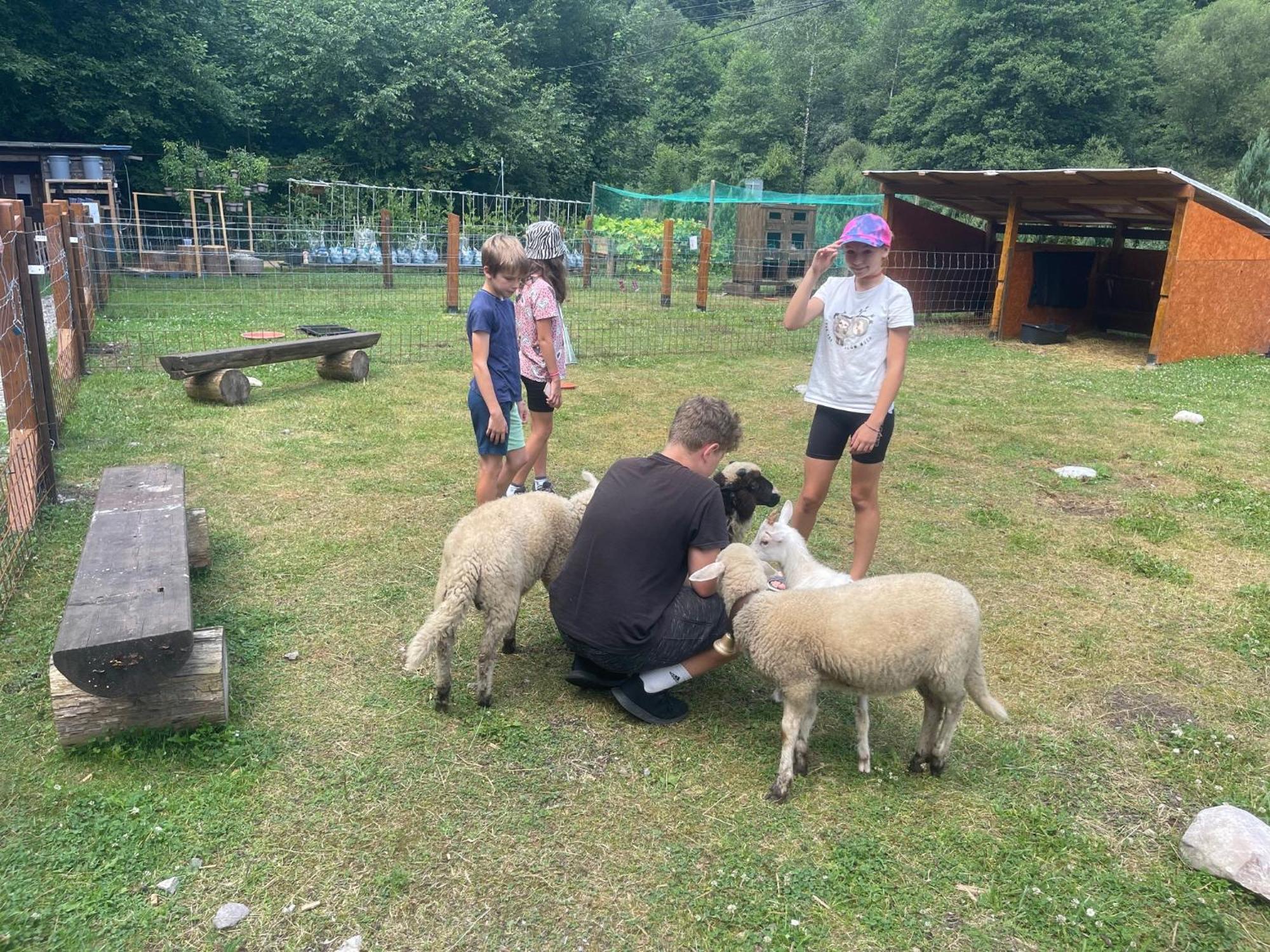Pri Piecke Penzion A Restauracia Staré Hory Buitenkant foto